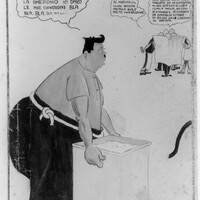 Co.As.It P-06534.jpg