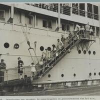 Medium sized JPEG.jpg